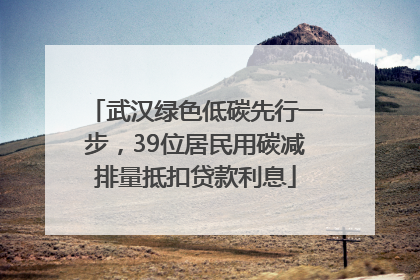 武汉绿色低碳先行一步，39位居民用碳减排量抵扣贷款利息