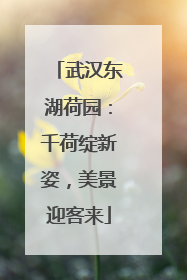 武汉东湖荷园：千荷绽新姿，美景迎客来