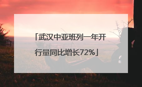 武汉中亚班列一年开行量同比增长72%