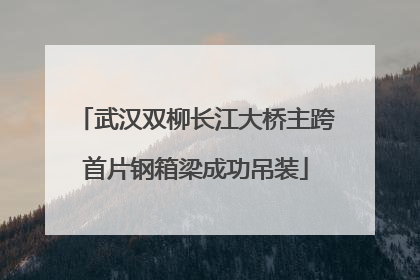 武汉双柳长江大桥主跨首片钢箱梁成功吊装