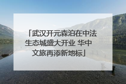 武汉开元森泊在中法生态城盛大开业 华中文旅再添新地标