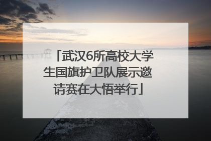 武汉6所高校大学生国旗护卫队展示邀请赛在大悟举行