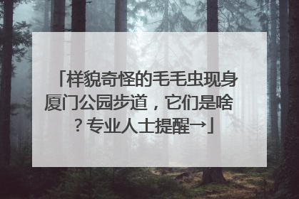 样貌奇怪的毛毛虫现身厦门公园步道，它们是啥？专业人士提醒→