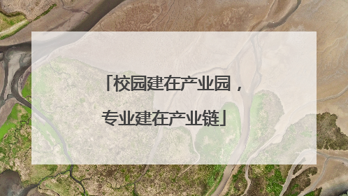 校园建在产业园，专业建在产业链