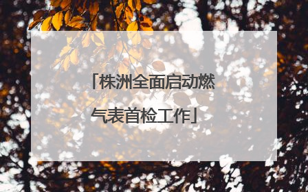 株洲全面启动燃气表首检工作