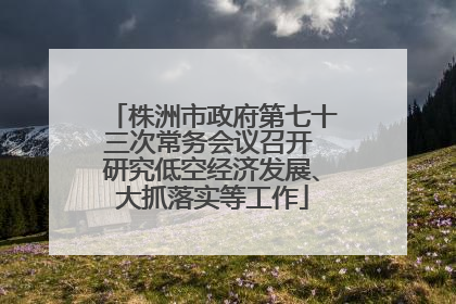 株洲市政府第七十三次常务会议召开 研究低空经济发展、大抓落实等工作