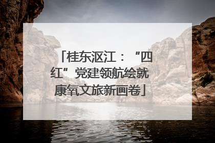 桂东沤江：“四红”党建领航绘就康氧文旅新画卷