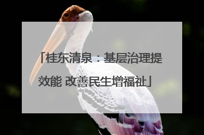 桂东清泉：基层治理提效能 改善民生增福祉