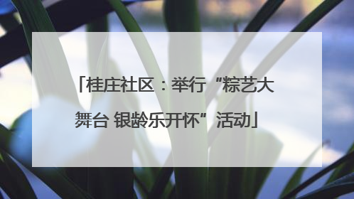 桂庄社区：举行“粽艺大舞台 银龄乐开怀”活动