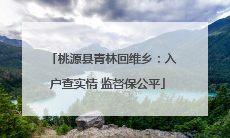 桃源县青林回维乡：入户查实情 监督保公平