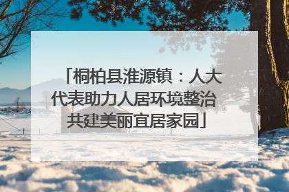 桐柏县淮源镇：人大代表助力人居环境整治 共建美丽宜居家园