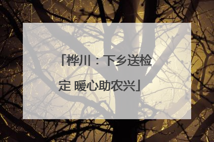 桦川：下乡送检定 暖心助农兴