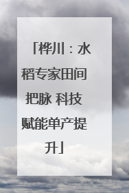 桦川：水稻专家田间把脉 科技赋能单产提升