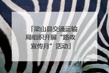 梁山县交通运输局组织开展“路政宣传月”活动