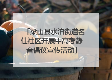 梁山县水泊街道名仕社区开展中高考静音倡议宣传活动