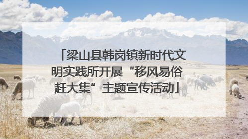 梁山县韩岗镇新时代文明实践所开展“移风易俗赶大集”主题宣传活动