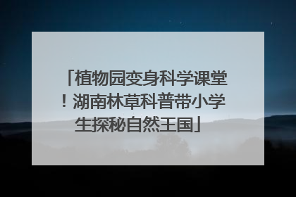 植物园变身科学课堂！湖南林草科普带小学生探秘自然王国
