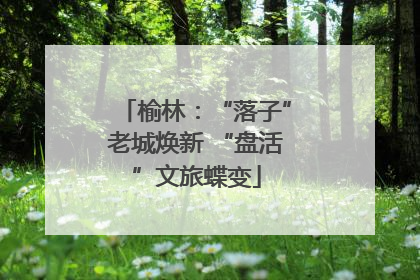 榆林：“落子”老城焕新 “盘活”文旅蝶变