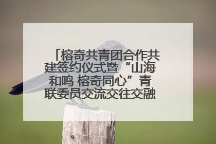 榕奇共青团合作共建签约仪式暨“山海和鸣 榕奇同心”青联委员交流交往交融活动在福州举行