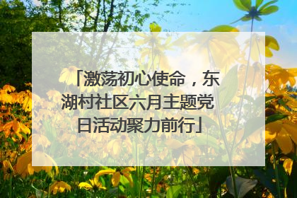 激荡初心使命，东湖村社区六月主题党日活动聚力前行