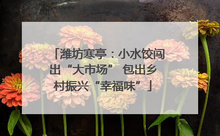 潍坊寒亭：小水饺闯出“大市场” 包出乡村振兴“幸福味”