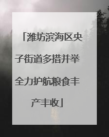 潍坊滨海区央子街道多措并举全力护航粮食丰产丰收