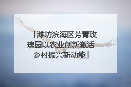 潍坊滨海区芳青玫瑰园以农业创新激活乡村振兴新动能