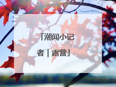 潮闻小记者｜露营