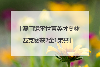 澳门镜平世青英才奥林匹克赛获2金1荣誉