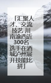 汇聚人才、交流技艺 川南渝西近300名选手在酒城泸州展开技能比拼