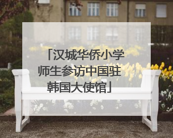 汉城华侨小学师生参访中国驻韩国大使馆