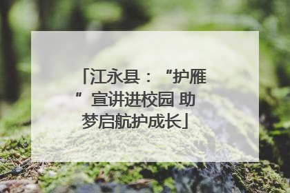 江永县：“护雁”宣讲进校园 助梦启航护成长
