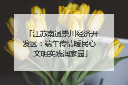 江苏南通崇川经济开发区：端午传情暖民心 文明实践润家园