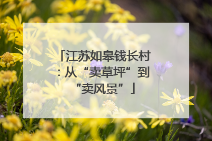江苏如皋钱长村：从“卖草坪”到“卖风景”