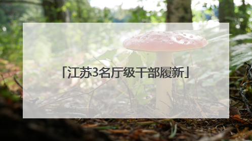 江苏3名厅级干部履新