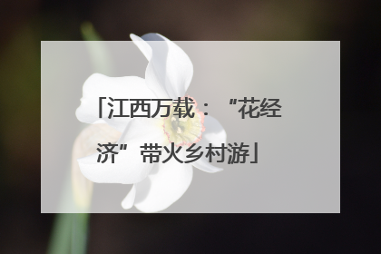 江西万载：“花经济”带火乡村游
