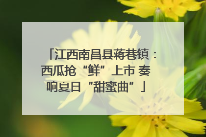 江西南昌县蒋巷镇：西瓜抢“鲜”上市 奏响夏日“甜蜜曲”