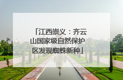 江西崇义：齐云山国家级自然保护区发现蜘蛛新种