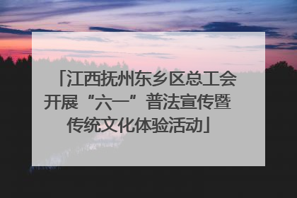 江西抚州东乡区总工会开展“六一”普法宣传暨传统文化体验活动