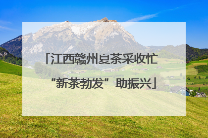 江西赣州夏茶采收忙 “新茶勃发”助振兴
