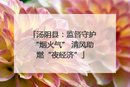 汤阴县：监督守护“烟火气” 清风助燃“夜经济”