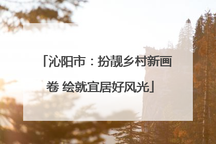 沁阳市：扮靓乡村新画卷 绘就宜居好风光