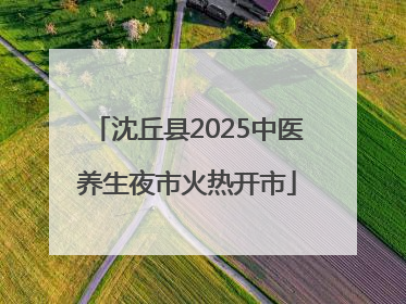 沈丘县2025中医养生夜市火热开市