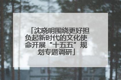 沈晓明围绕更好担负起新时代的文化使命开展“十五五”规划专题调研