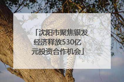 沈阳市聚焦银发经济释放530亿元投资合作机会