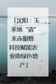 沈阳：玉米地“请”来赤眼蜂 科技赋能农业助绿色增产