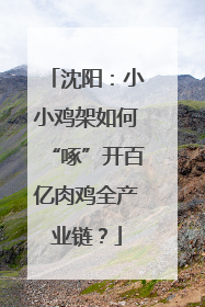 沈阳：小小鸡架如何“啄”开百亿肉鸡全产业链？
