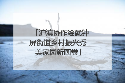 沪滇协作绘就钟屏街道乡村振兴秀美家园新画卷