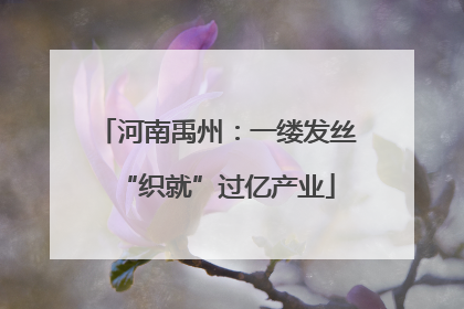 河南禹州：一缕发丝“织就”过亿产业
