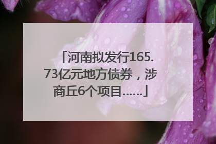河南拟发行165.73亿元地方债券，涉商丘6个项目……
